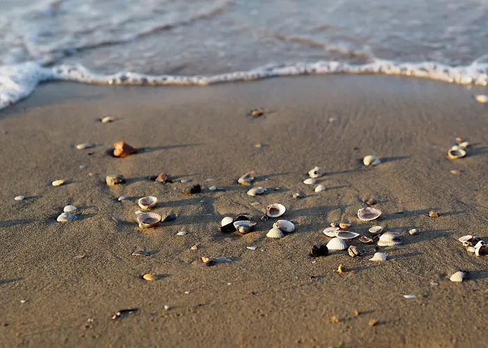 Comfortable Flat With Sea View In Апартаменти